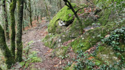 Peyrolles_25_01-86