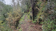 Peyrolles_25_01-99
