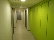 Micocoulier-3