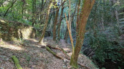 Babylone_25_09-12