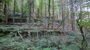 Babylone_25_09-13