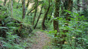 Babylone_25_09-15