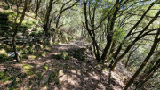 Babylone_25_09-23