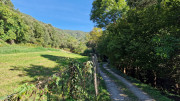 Babylone_25_09-4