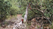 Babylone_25_09-44