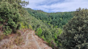 Babylone_25_09-45