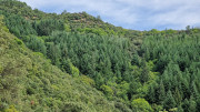 Babylone_25_09-46