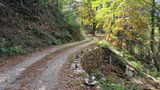 Babylone_25_09-55