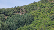Babylone_25_09-61