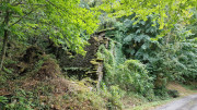 Babylone_25_09-63