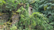 Babylone_25_09-65