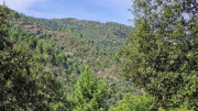 Babylone_25_09-69