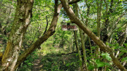 Cayrel_25_04-108