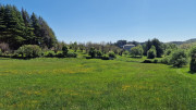 Cayrel_25_04-114