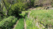 Cayrel_25_04-124