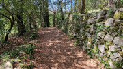 Cayrel_25_04-125