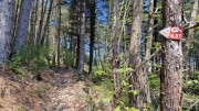 Cayrel_25_04-128