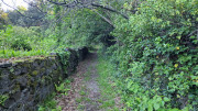 Cayrel_25_04-13