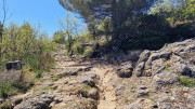 Cayrel_25_04-130