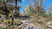 Cayrel_25_04-132