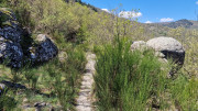 Cayrel_25_04-137
