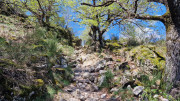 Cayrel_25_04-140