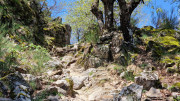 Cayrel_25_04-141