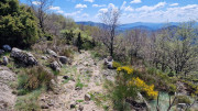 Cayrel_25_04-155