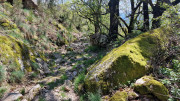 Cayrel_25_04-156