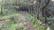 Cayrel_25_04-16