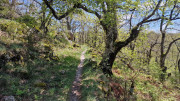 Cayrel_25_04-162