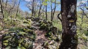 Cayrel_25_04-163