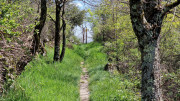 Cayrel_25_04-165
