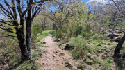 Cayrel_25_04-168