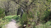 Cayrel_25_04-169