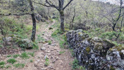 Cayrel_25_04-185