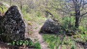 Cayrel_25_04-186