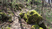 Cayrel_25_04-187