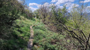 Cayrel_25_04-188