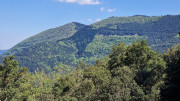 Cayrel_25_04-196