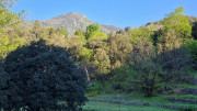 Cayrel_25_04-20