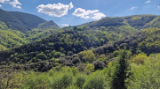 Cayrel_25_04-211