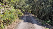 Cayrel_25_04-221