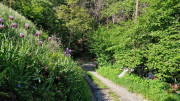 Cayrel_25_04-224