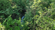 Cayrel_25_04-229
