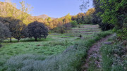 Cayrel_25_04-23