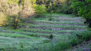 Cayrel_25_04-24