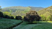 Cayrel_25_04-25