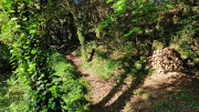Cayrel_25_04-27
