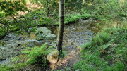 Cayrel_25_04-29